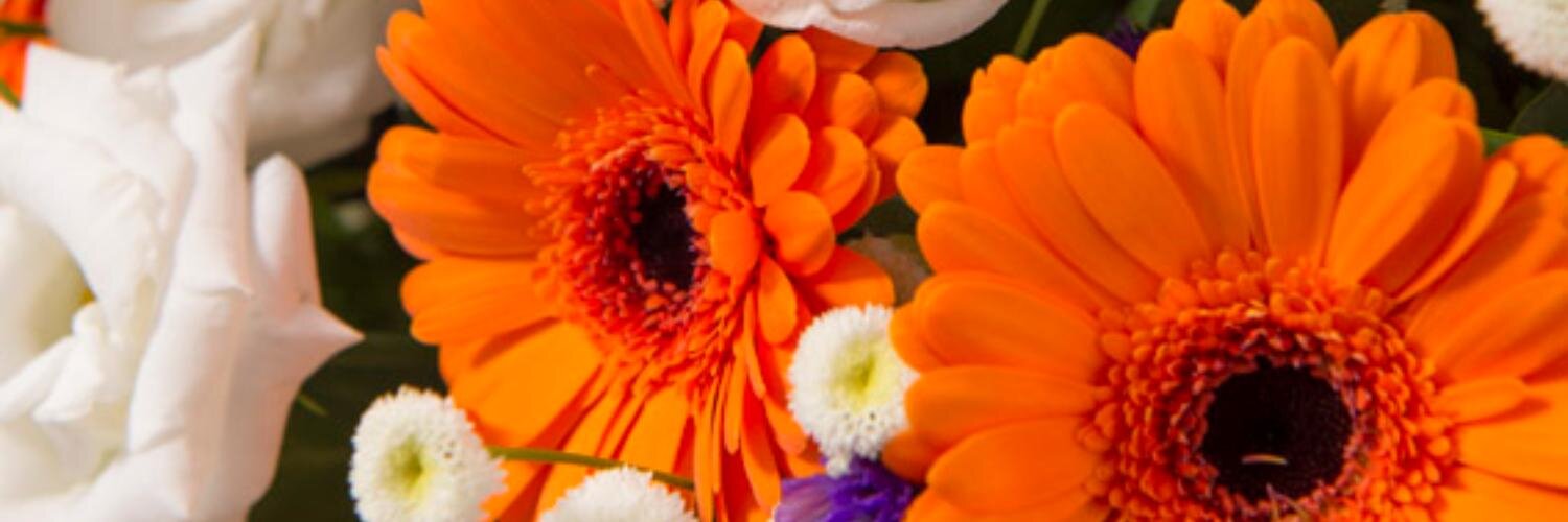 EricLedroux's profile banner image