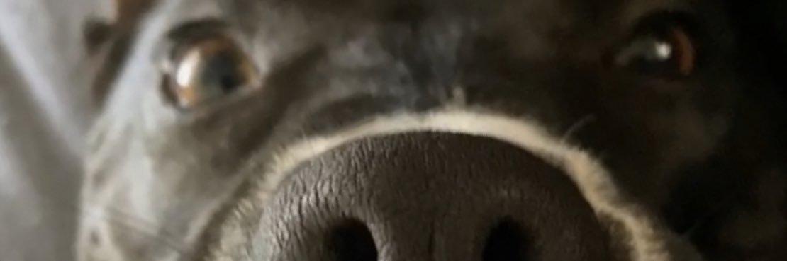 cade banner