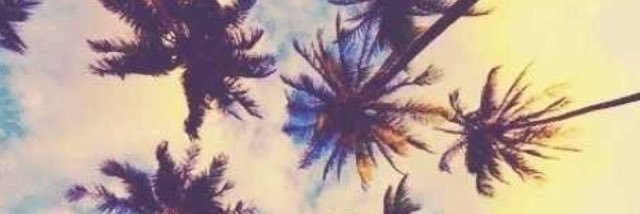 amber_tiernan's profile banner image