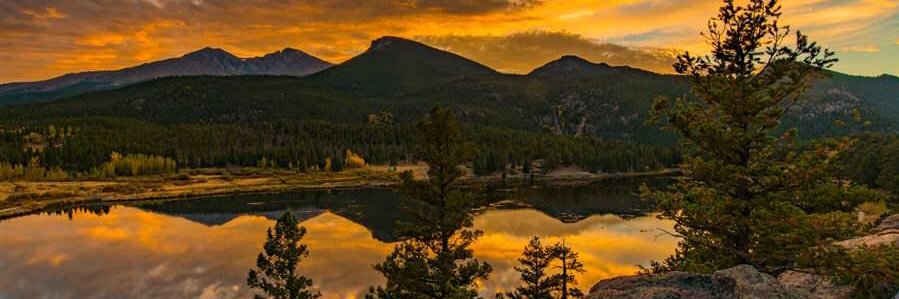 Tanner_Weir's profile banner image