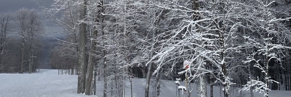 Ameraq Profile Banner