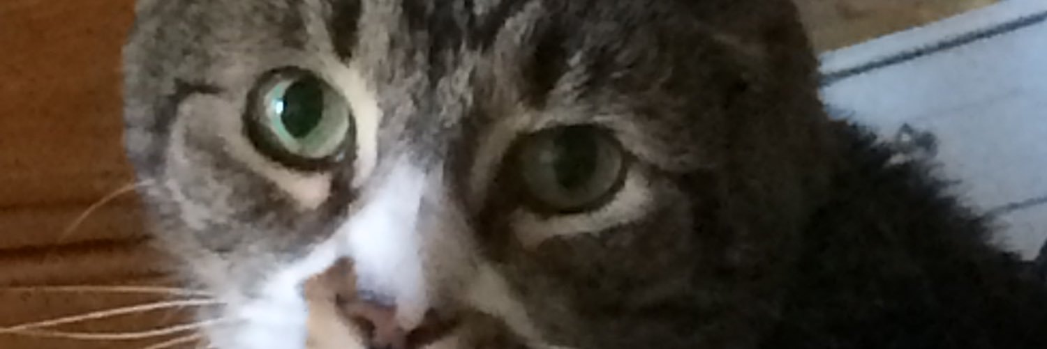 crambed3's profile banner image
