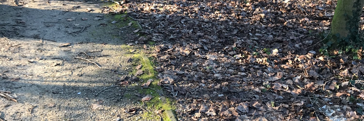 Frederik Van Outryve banner