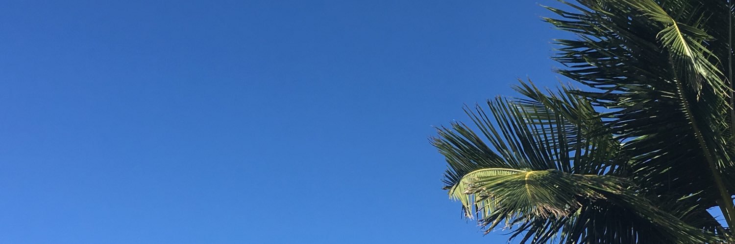 SarahJWallis's profile banner image