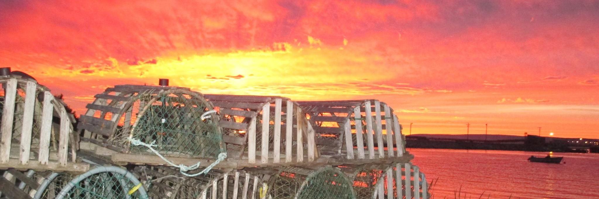 Stevedore Steve banner