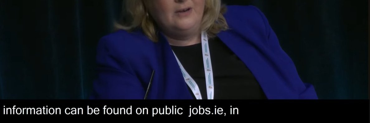 Bobby Sandinista banner