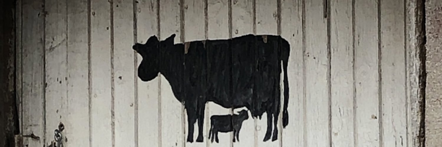 Kristen Thompson-Dow banner