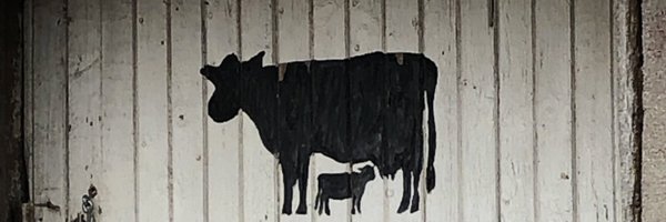 KippyTD Profile Banner