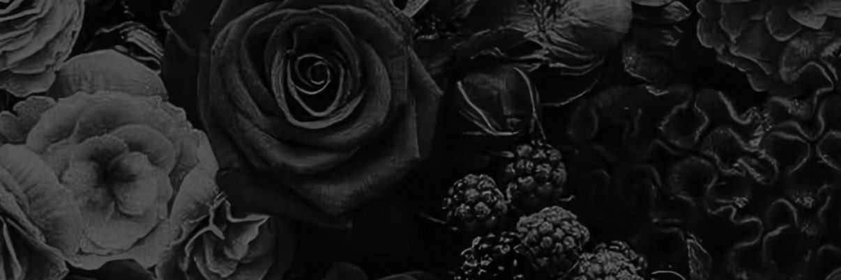 SarahMikelski's profile banner image