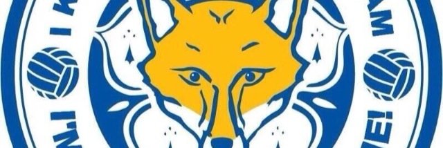 MichelleLCFC's profile banner image