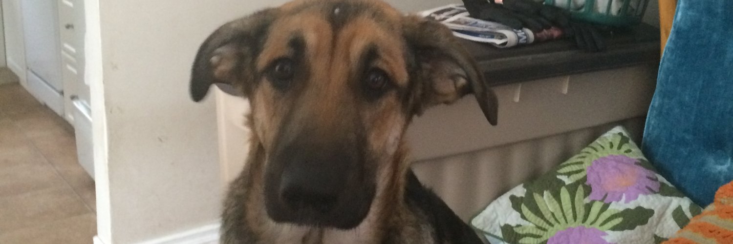 BoydGoble's profile banner image