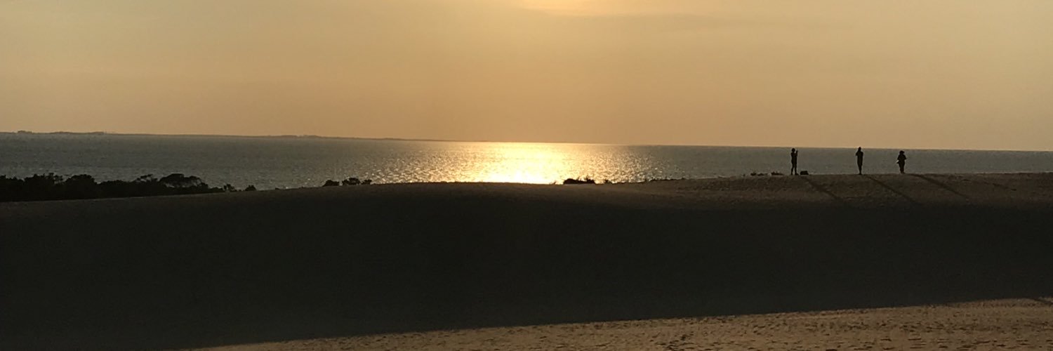 lneedthesun's profile banner image