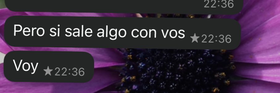vicuu11's profile banner image