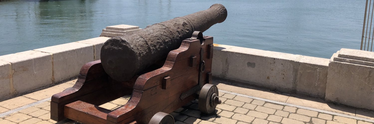 Ph. Reggianno Mc.  banner