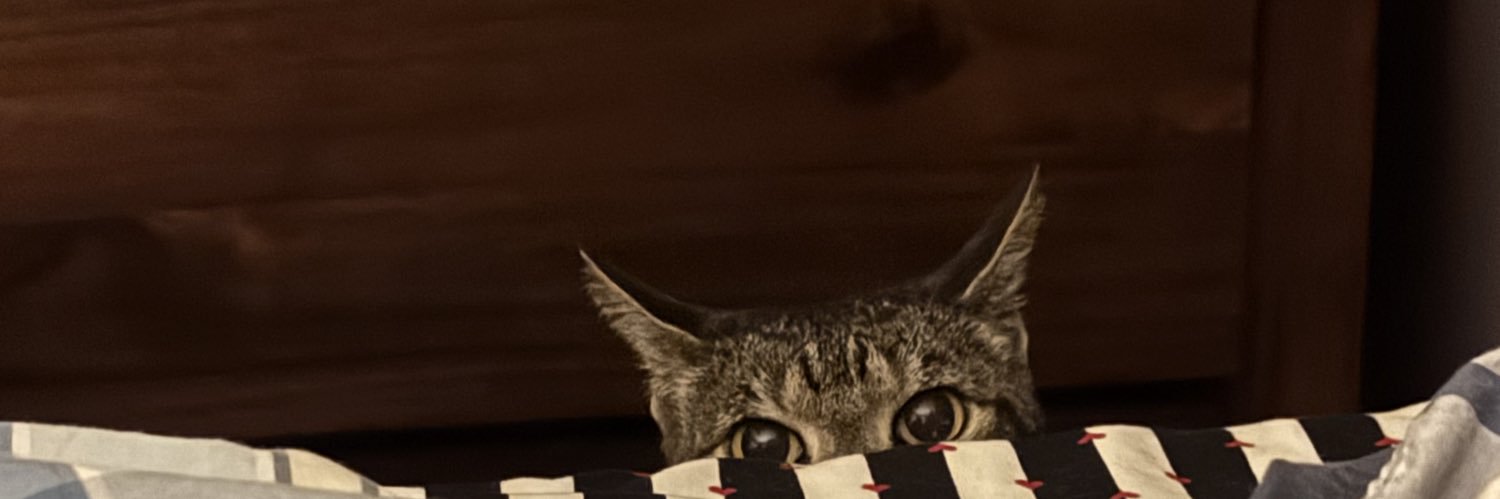 vnessahhhh's profile banner image