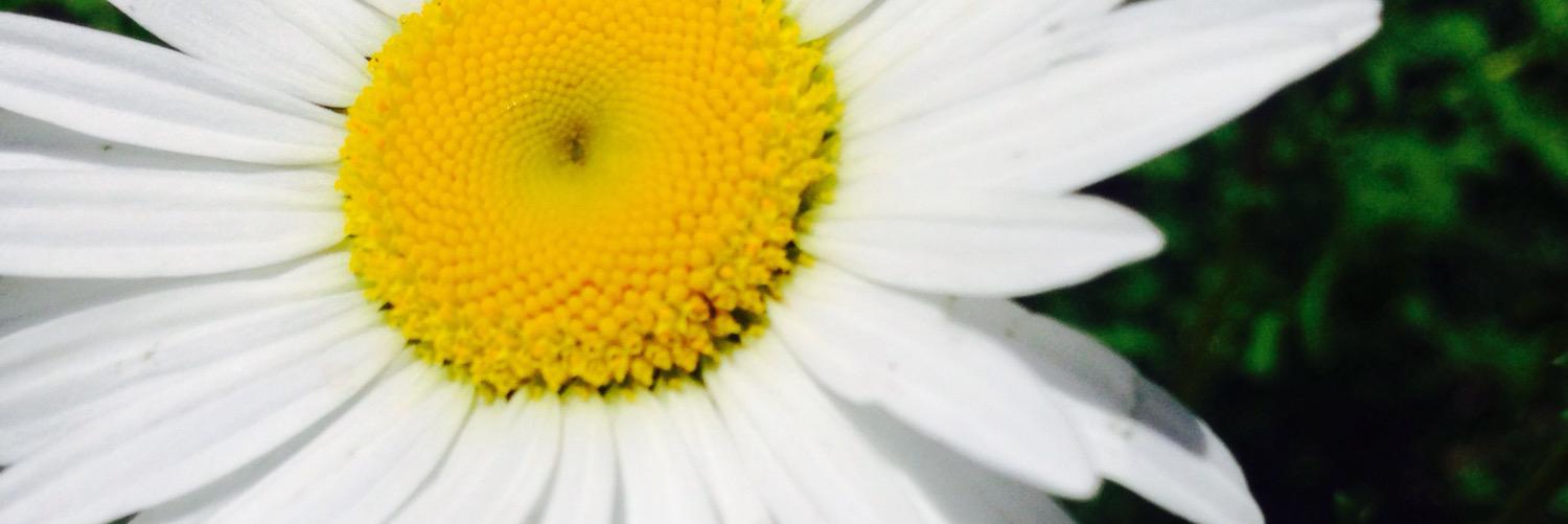 kaciesue12's profile banner image