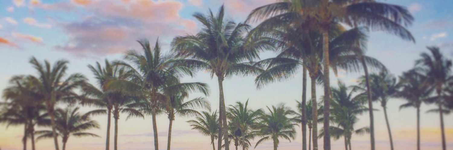 BorkowskiD's profile banner image