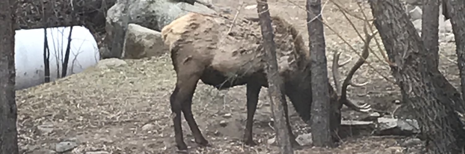 ejjones18's profile banner image