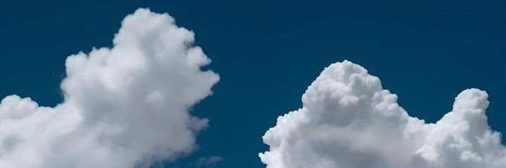 cotyrene's profile banner image