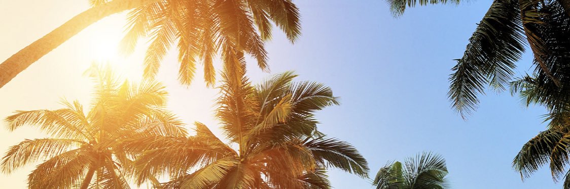 ✨ banner