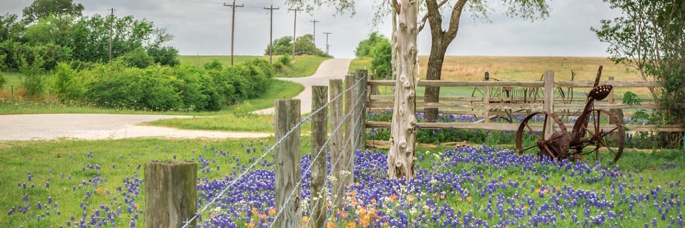 Texas Gal banner