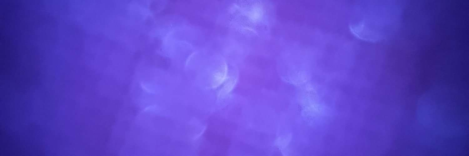 HammMichelle's profile banner image