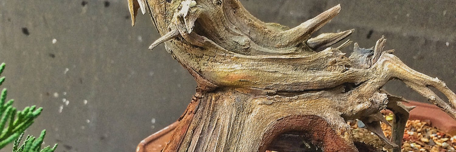 adamaskwhy's profile banner image