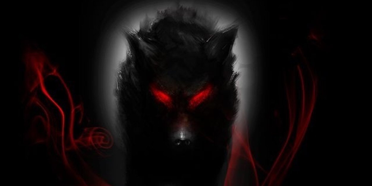 PhilipJ1014's profile banner image