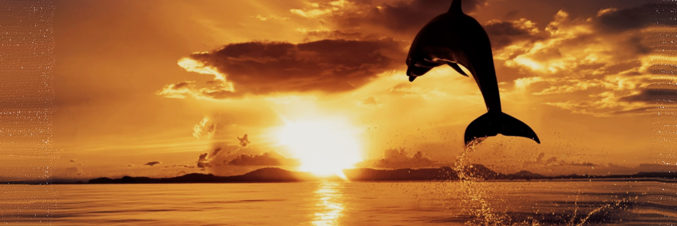 ChristineT99's profile banner image