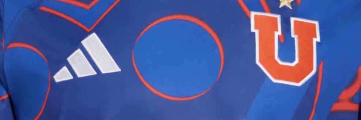 Chuncho Datos #UdeChile banner