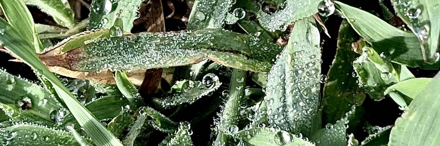 Deeds42's profile banner image
