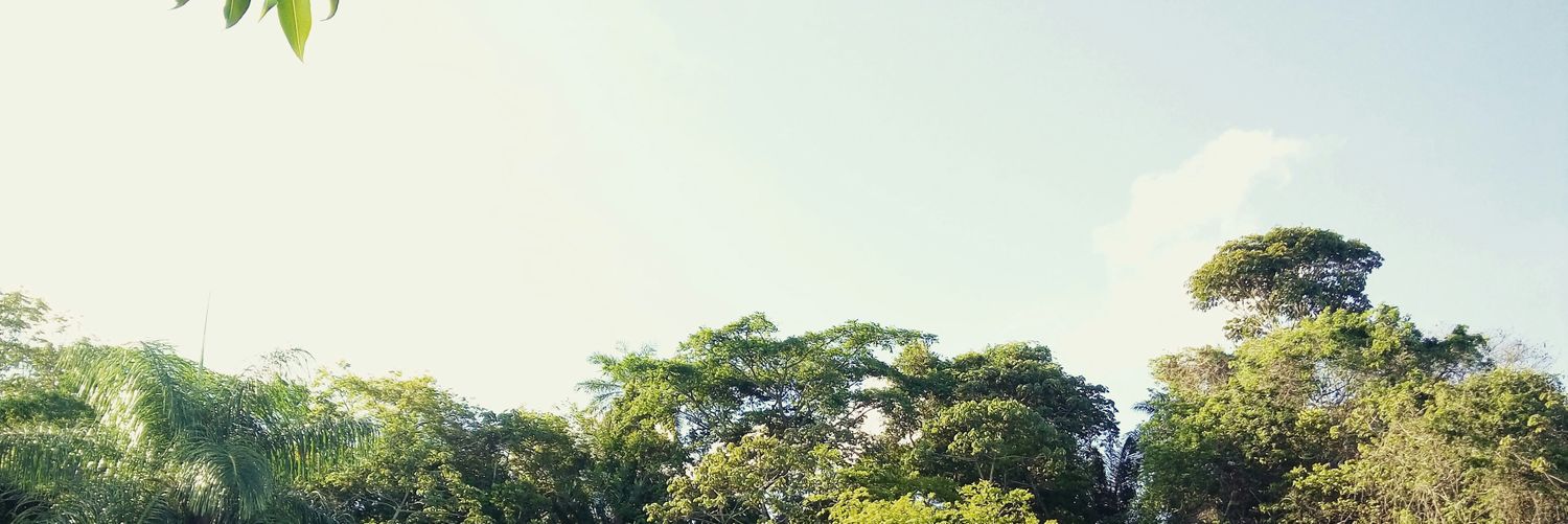 biigvincent's profile banner image