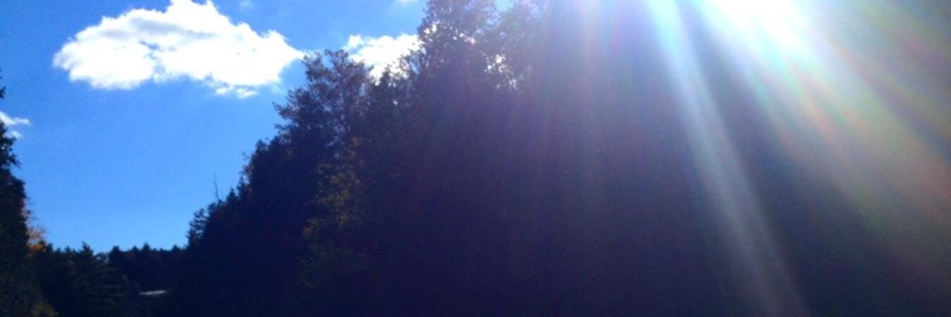 kdicecross's profile banner image