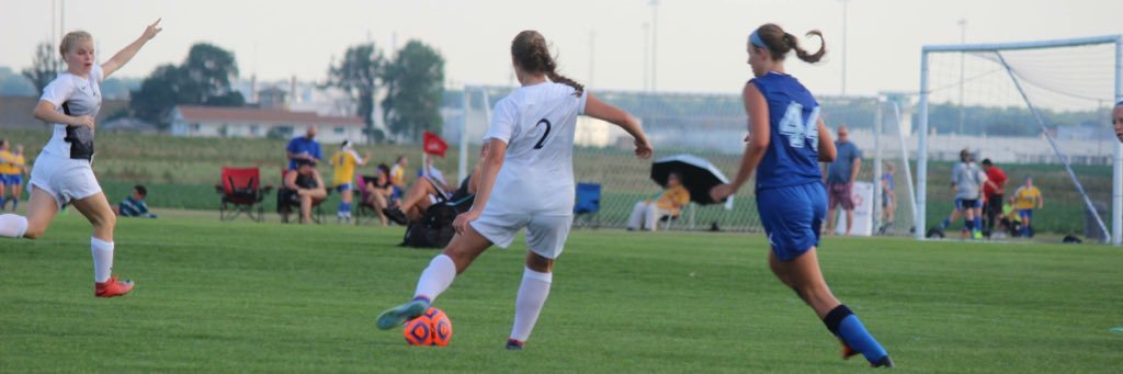 reese wingo banner