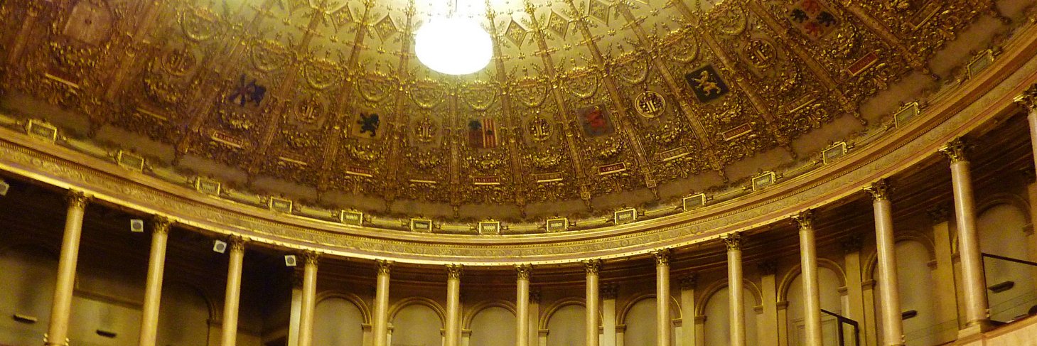 Madoka Hitoyoshi🇧🇪🇯🇵 banner