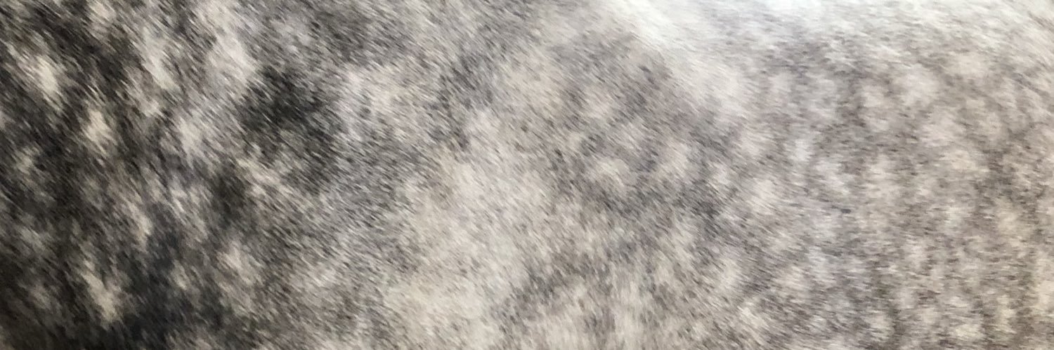 Hopeful Hunter (Jumper?) banner