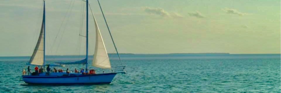 seth_holder8's profile banner image