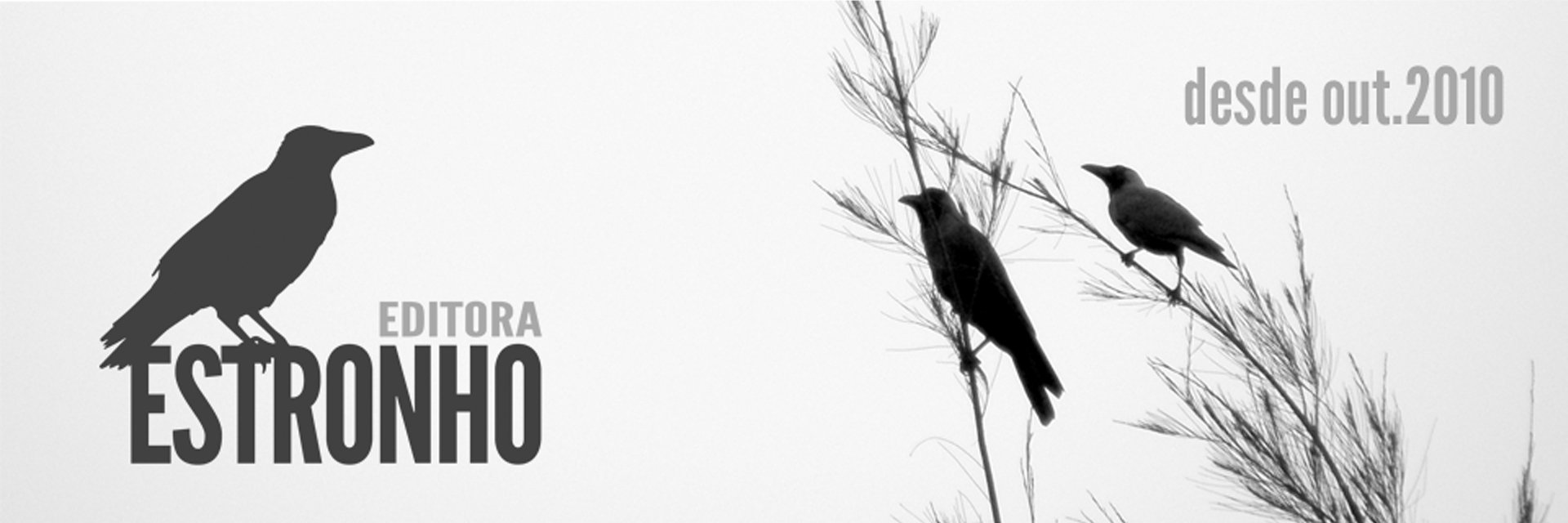 estronho's profile banner image