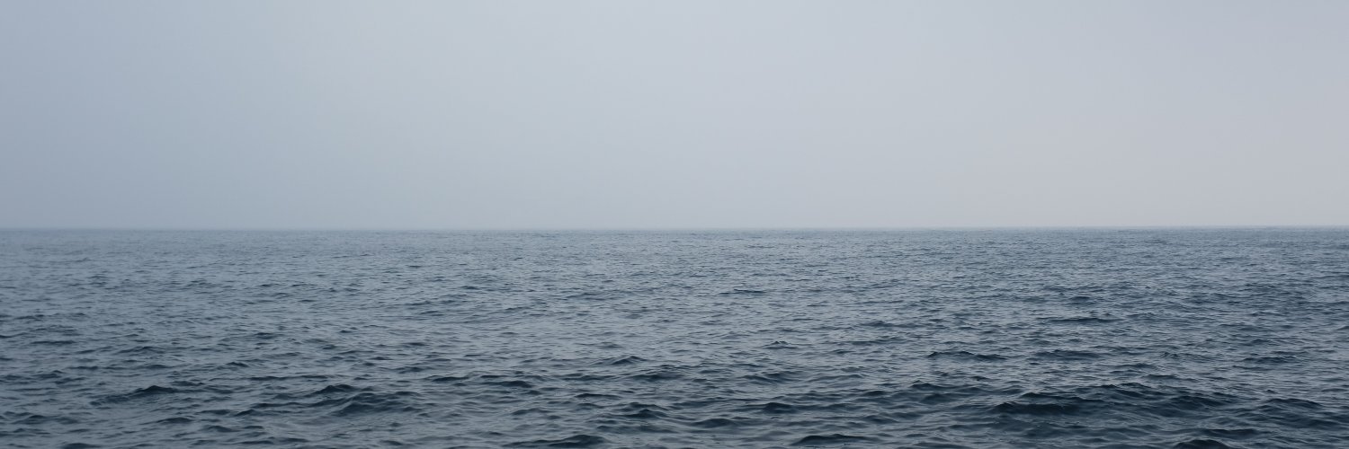denis banner