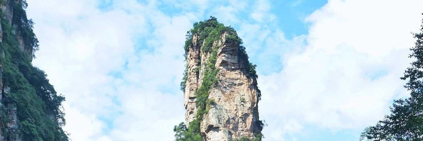 橙子 banner