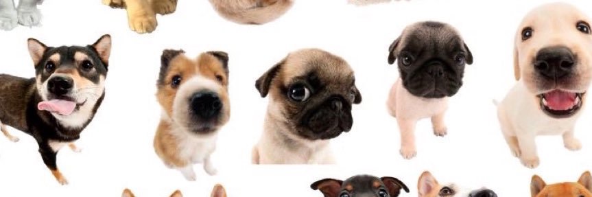 estie123_'s profile banner image