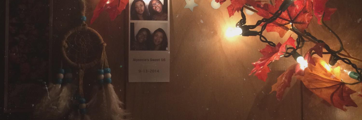 danielleeeml's profile banner image