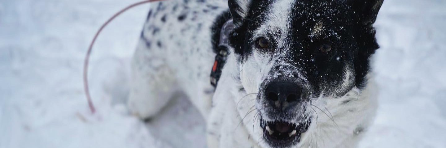 Funny_burt's profile banner image