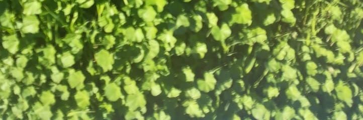 sa12345l's profile banner image