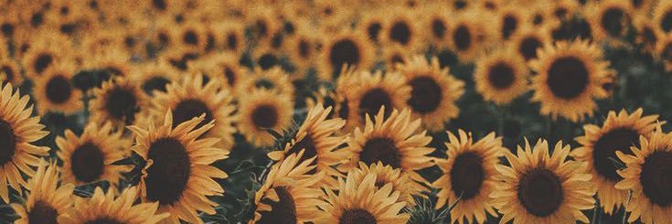 Kayla_Lundrigan's profile banner image