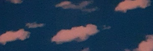 echibrandals's profile banner image