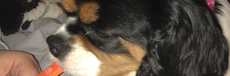 a_kellss's profile banner image
