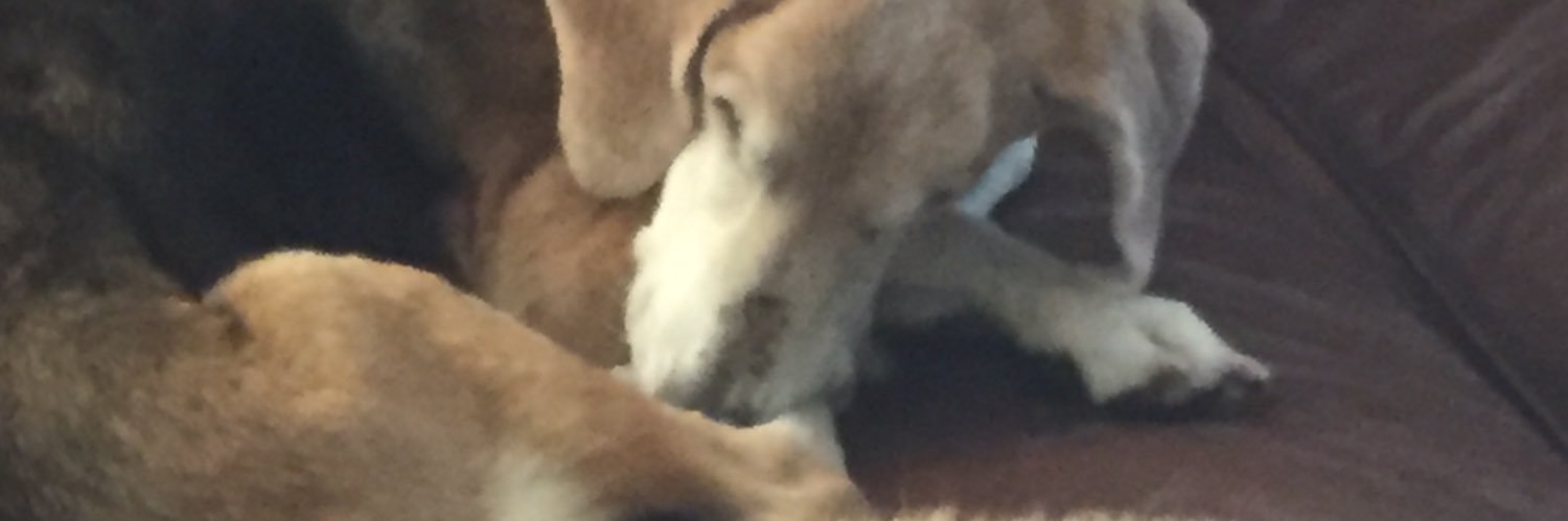 brucedickey2's profile banner image