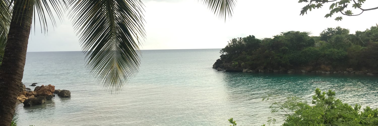 MeredithToscano's profile banner image