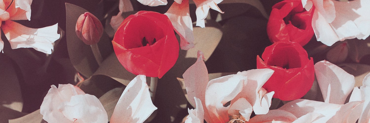 AmberPayano's profile banner image